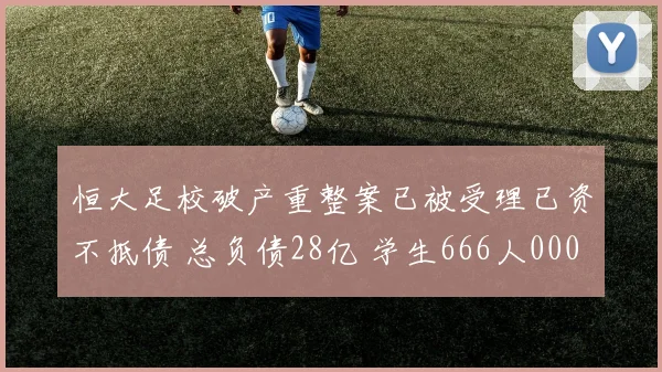 恒大足校破产重整案已被受理已资不抵债 总负债28亿 学生666人0000644